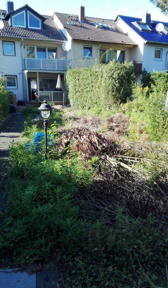 Leistungen Reif Garten- und Landschaftsbau - Garten vorher